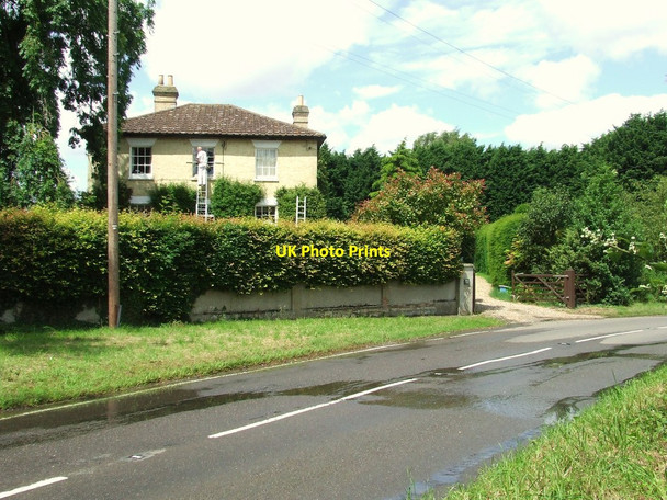 Photo 6"x4" Frog Hall Balsam c2012