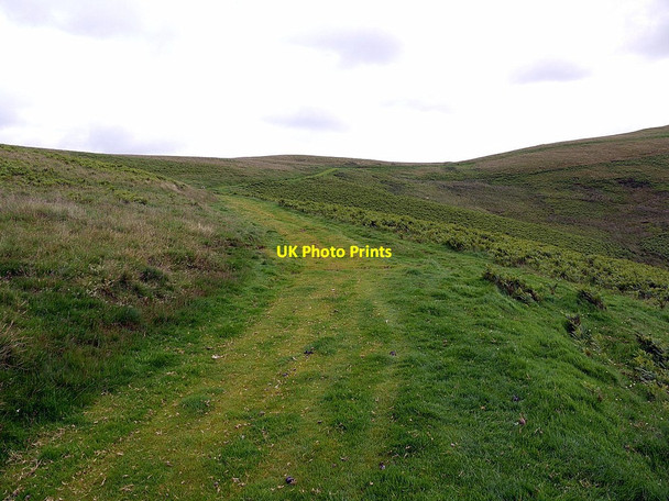 Photo 6"x4" Clennell Street below Camp Tops Sourhope c2012