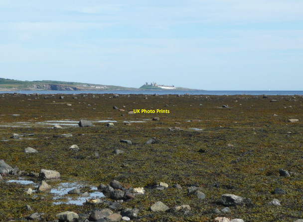 Photo 6"x4" The expanse of Longhoughton Steel exposed at low tide Boulmer c2012