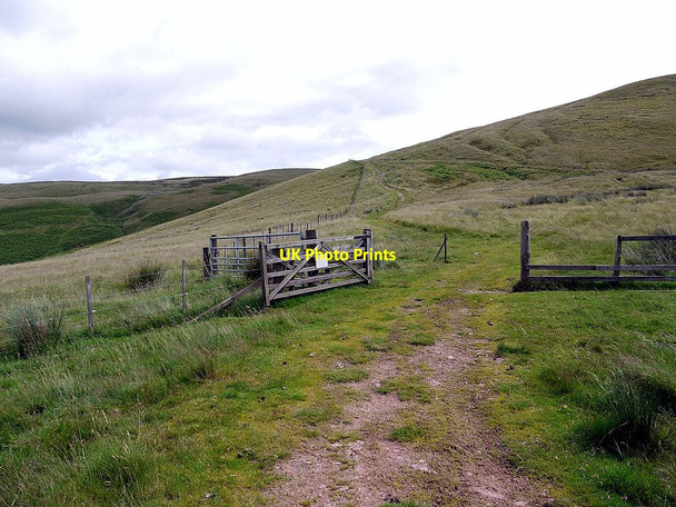 Photo 6"x4" Gate on Clennell Street below Outer Cock Law White Knowe\/NT8617 c2012