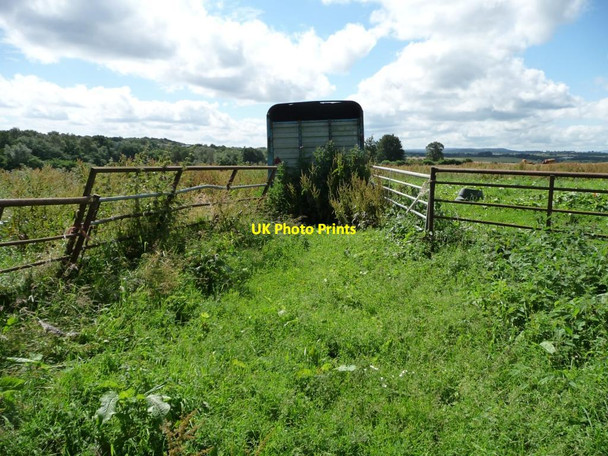 Photo 6"x4" Animal fold west of Wike Ridge Lane Wike c2012