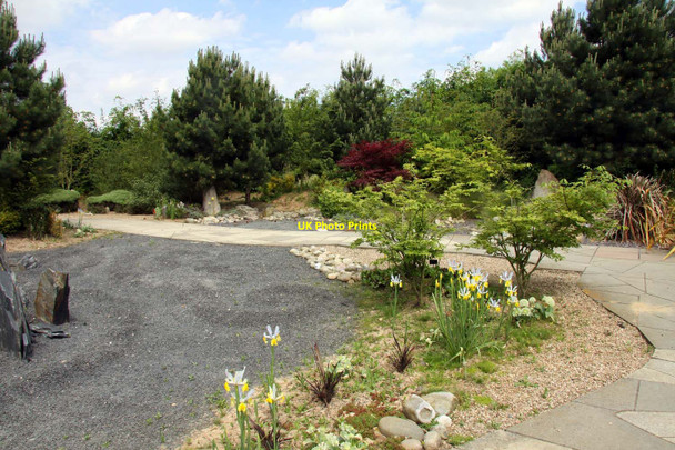 Photo 6"x4" Japanese garden in the Festival Gardens Spalding c2012
