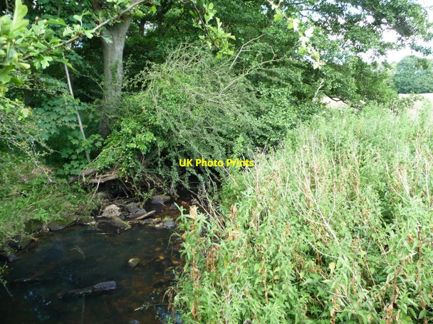 Photo 6"x4" Scarcroft Beck Thorner c2012