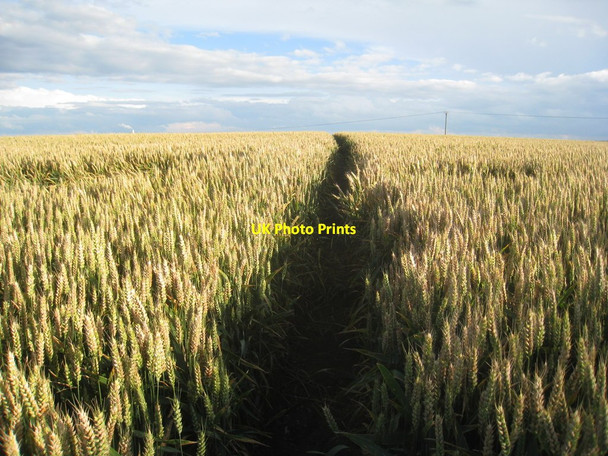 Photo 6"x4" Footpath over Crow Tree Hill, Sturton le Steeple Sturton le Steeple c2012