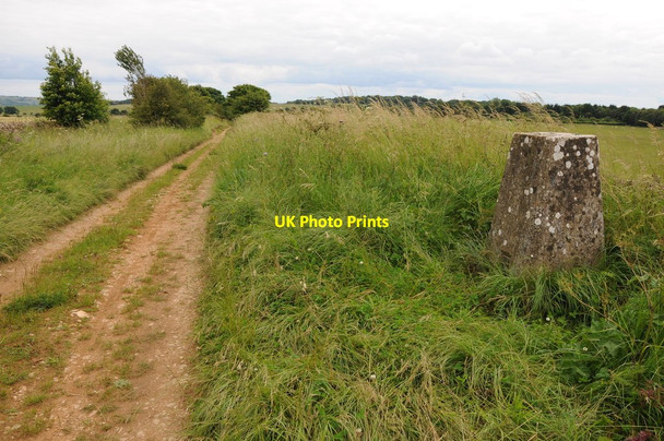 Photo 6"x4" Trig point beside Ryknild Street Condicote c2012