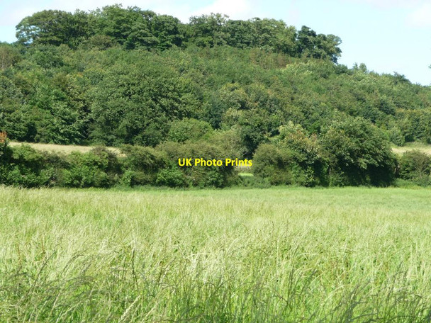 Photo 6"x4" Farmland on the north side of Carr Lane Sandhills\/SE3739 c2012