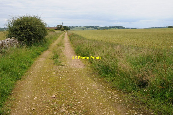 Photo 6"x4" Track to Hill Barn Lower Swell c2012