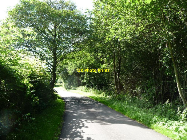 Photo 6"x4" Brandon Crescent on a sunny afternoon Bracken Park c2012