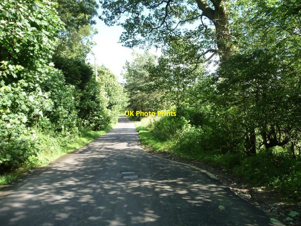 Photo 6"x4" Passing place on Brandon Crescent Shadwell\/SE3439 c2012
