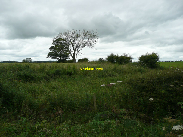 Photo 6"x4" Arable land with overgrown hedges Hazon c2012