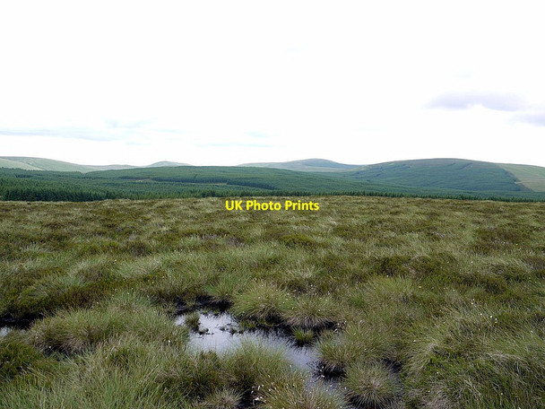 Photo 6"x4" Boggy moorland east of King's Seat King's Seat\/NT8717 c2012