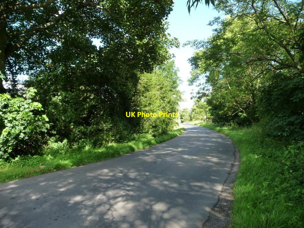 Photo 6"x4" Whinmoor Lane Monkswood\/SE3437 c2012
