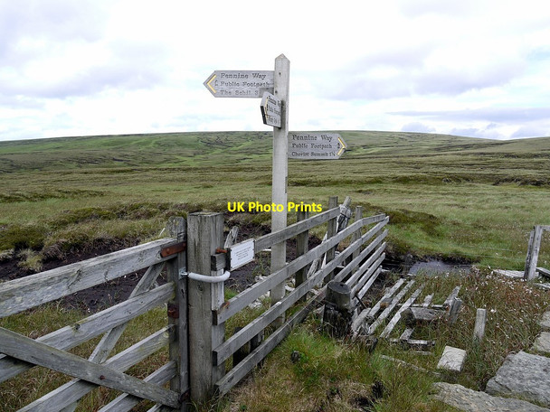 Photo 6"x4" Pennine Way signpost at the start of the Cheviot spur Auchope Cairn c2012