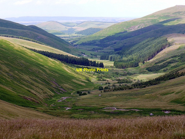Photo 6"x4" College Valley north from the Pennine Way Sourhope c2012