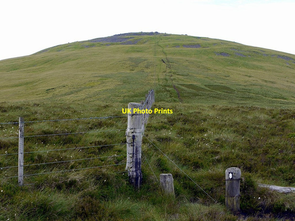 Photo 6"x4" Pennine Way below The Schil Sourhope c2012