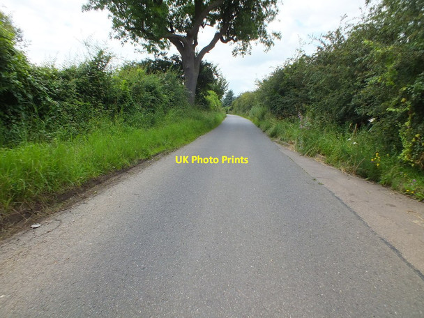Photo 6"x4" Great Bramingham Lane Streatley\/TL0728 c2012