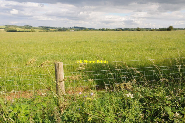 Photo 6"x4" Cotswold grassland Condicote c2012
