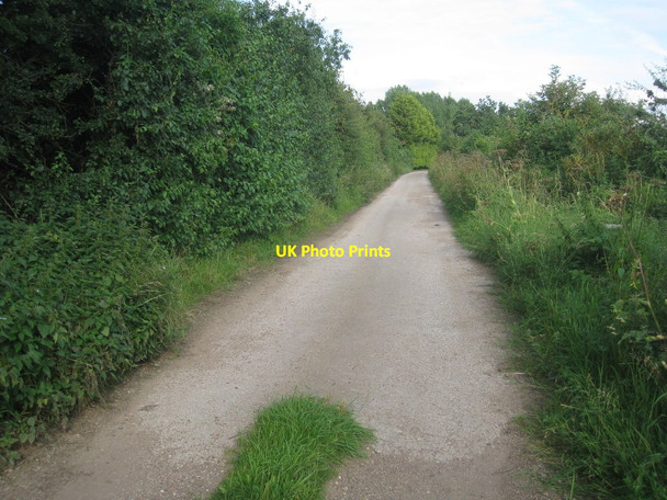Photo 6"x4" Track from Cromwell Moor Carlton-on-Trent c2012