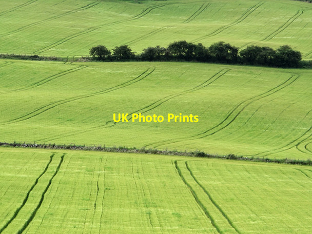 Photo 6"x4" Field boundaries at Ormiston Newburgh\/NO2318 c2012