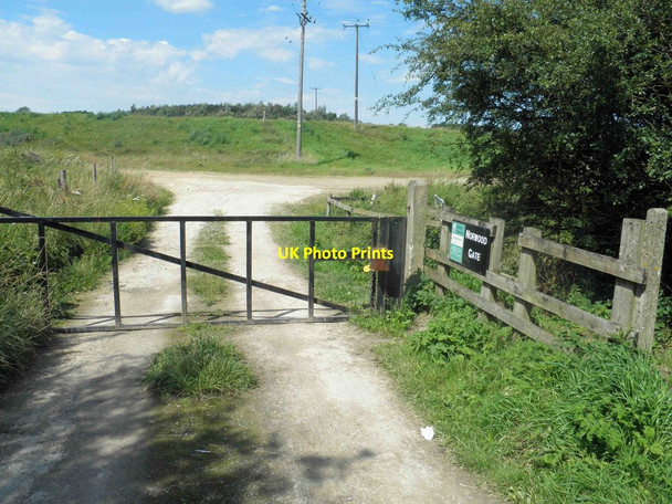 Photo 6"x4" Norwood Gate entrance to nature reserve Almholme c2012