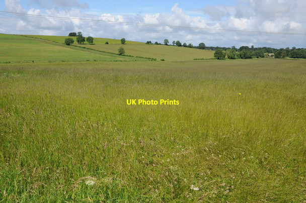 Photo 6"x4" Cotswold grassland Ford\/SP0829 c2012
