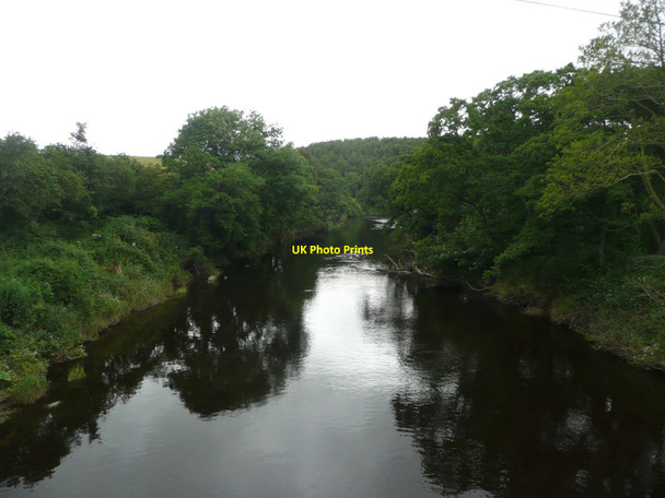 Photo 6"x4" The River Coquet Eastfield Hall c2012