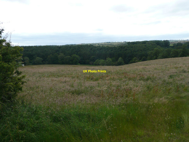 Photo 6"x4" Rough pasture above the River Coquet Eastfield Hall c2012