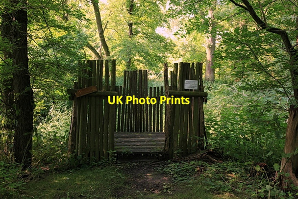 Photo 6"x4" Badger viewing platform, Overhall Grove, Knapwell Knapwell c2012