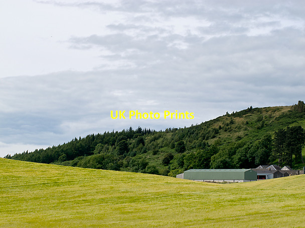 Photo 6"x4" Braeside of Lindores Newburgh\/NO2318 c2012