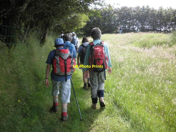 Photo 6"x4" Ramblers, near Winstitchen Simonsbath c2012