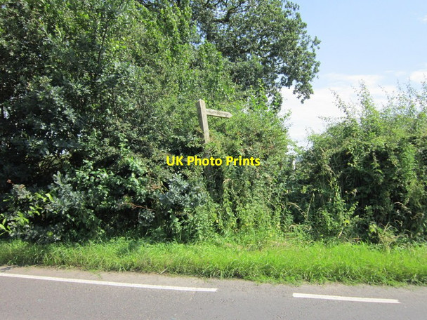 Photo 6"x4" A path off Smeath Road Retford c2012