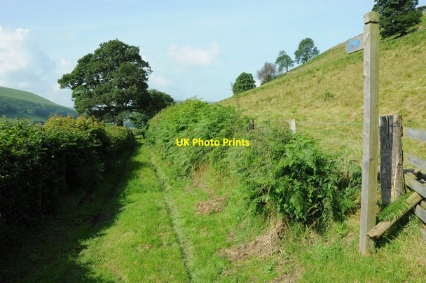 Photo 6"x4" Bridleway to Harley Dingle New Radnor c2012
