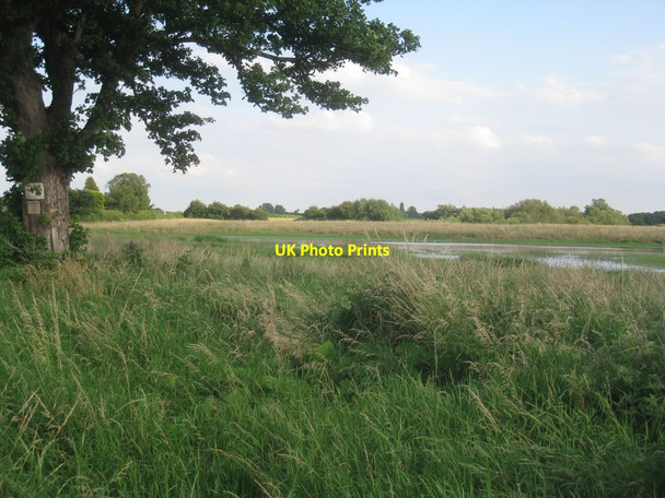 Photo 6"x4" Flooded field by Cattal Bridge Cattal c2012