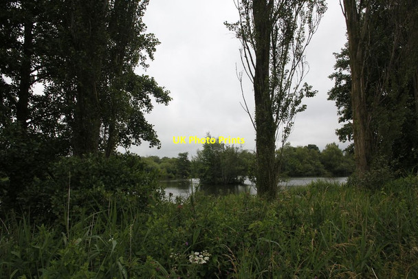 Photo 6"x4" Lakes through the trees Thatcham c2012