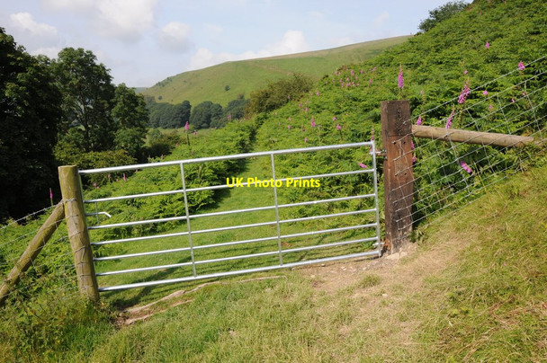 Photo 6"x4" Bridleway to Harley Dingle New Radnor c2012