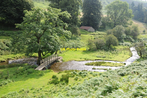 Photo 6"x4" Black Brook New Radnor c2012