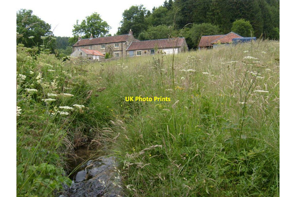 Photo 6"x4" House in upper Troutsdale Six Dikes c2012
