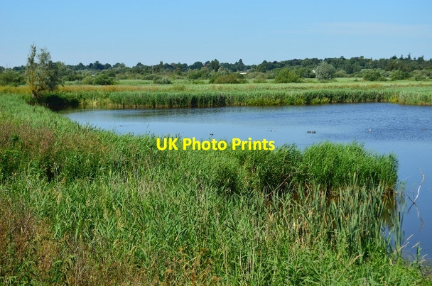 Photo 6"x4" Broad from Tower Hide Surlingham c2012