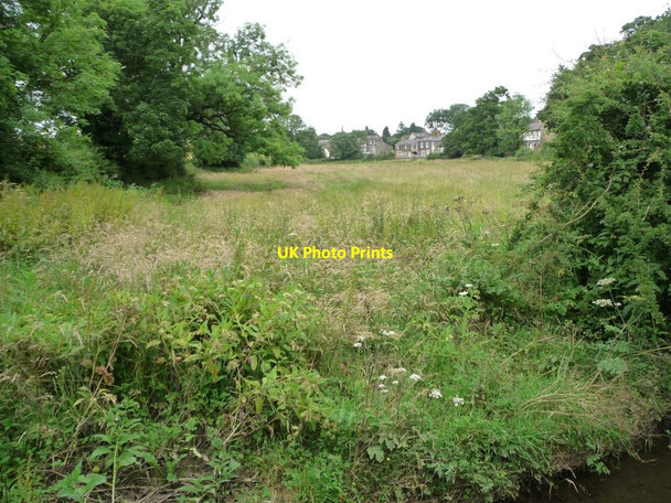 Photo 6"x4" Narrow field south of Thorner Sandhills\/SE3739 c2012