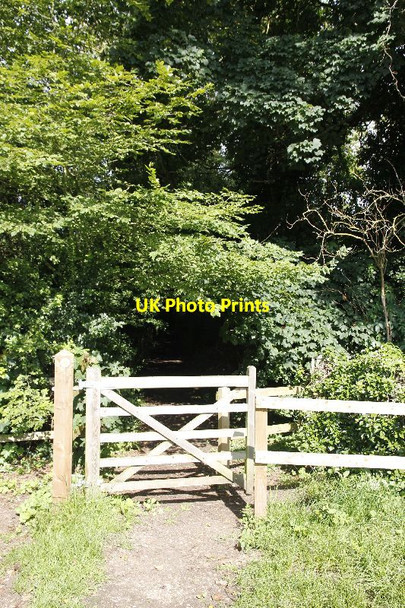 Photo 6"x4" Footpath through the kissing gate Lechlade on Thames c2012