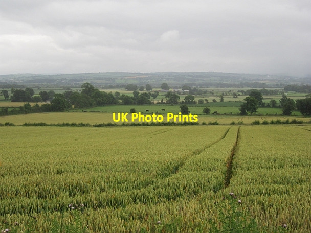 Photo 6"x4" Swilly Townland Ballymagorry c2012
