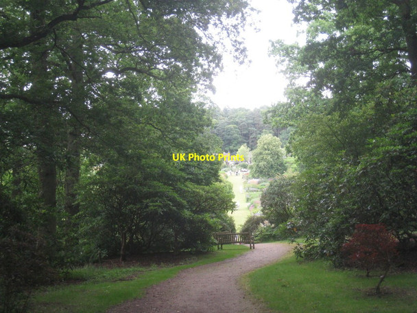 Photo 6"x4" The gardens at Harlow Carr (6) Harlow Carr c2012