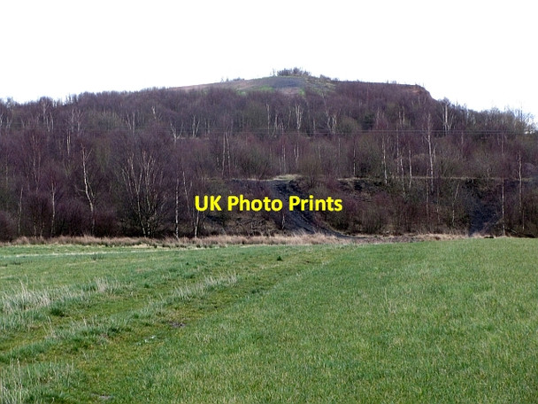 Photo 6"x4" Bing, Lockshaw Moss Blairhall\/NT0089 c2012