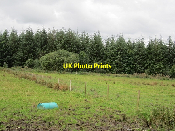 Photo 6"x4" Field, Rushyhill Killygordon c2012