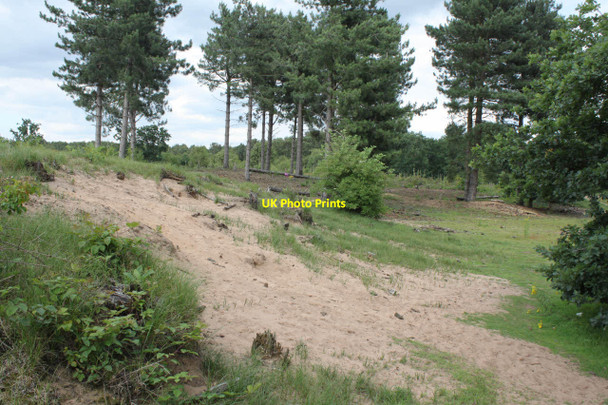 Photo 6"x4" Spalford Warren Spalford c2012