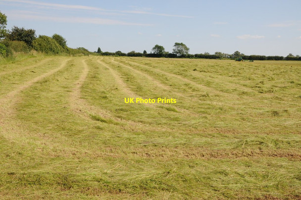 Photo 6"x4" Mown grass Harvington\/SO8774 c2012