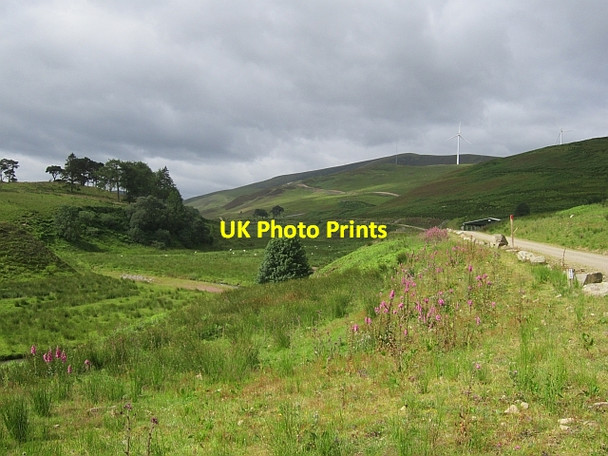 Photo 6"x4" The glen behind Kingledoors Kingledores c2012