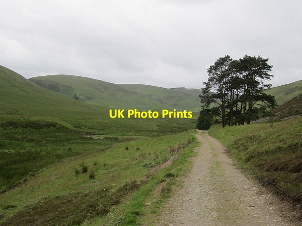 Photo 6"x4" The Hope, Kingledoors Tweedsmuir c2012