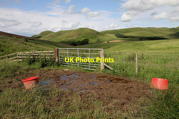 Photo 6"x4" Farmland and a field gate on Elisheugh Hill Mowhaugh c2012