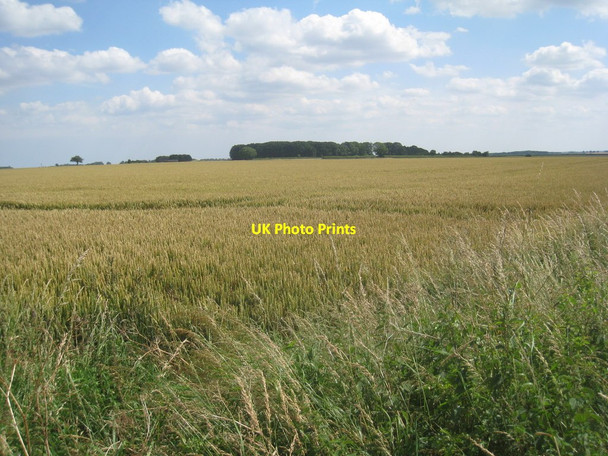 Photo 6"x4" View towards Julian's Barn Kelstern c2012